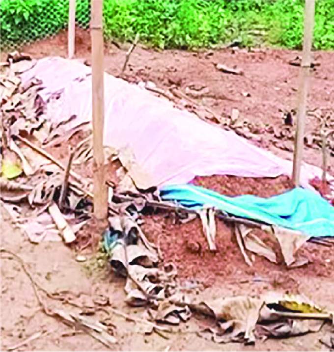 Image of জাহাঙ্গীর আলম